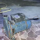 دينمو واحد حصان