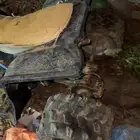 دباب للبيع تشليح