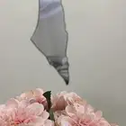 مرايه خريطه فلسطين