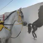 مستلزمات خيل