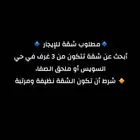 ابحث عن شقة