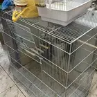 قفص طيور وسيريلاك وحب للطيور بسعر جميل جدا