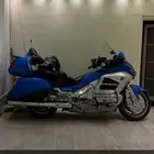 قولد وينق للبيع