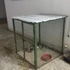 شبك بقلاوة