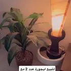 أشجار