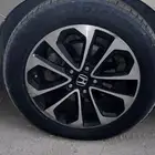 جنوط اكورد 2015