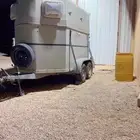 عربة ل توصيل و نقل الخيل المزاحمية وضواحيها