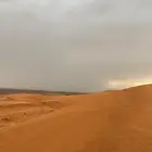 مطلوب ارضين متجاورات حي الخليج المذنب