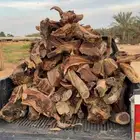 حطب مستورد افريقي