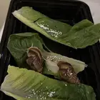 حلزون البينو الافريقي