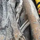 صندوق هايلوكس