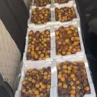تمر روثانه السعر 15 ريال