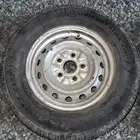 جنوط كرسيدا