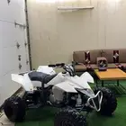 دباب