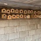 للبيع مخافك طيورزيبرا عدد 500شبه جدد