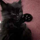 اعمارهم شهرين بشيلهم ب اسرع وقت