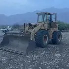 شيول للبيع