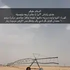 مزرعه رشاش للآيجار