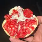 رمان بيده الباحه