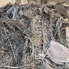 عسيف نخل على نص ريال