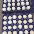 بيض بلدي مزرعه عسفان