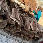 للبيع بي ام 2022 فيها رفرف يسار جايه ضربه