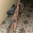 سيكل بالخرج 50