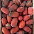 رطب خراف يومي