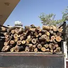 بيع صندوق الذهب محلي