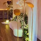 تنسيق وتاجير كوش ومداخل