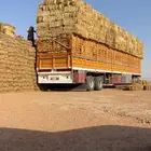 للبيع تبن شد طيب فيه نسبه ممطور حولي ا