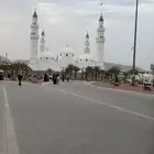 مطلوب شاص 2024 تماتيك