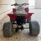 دباب سويدي نضييف