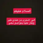 الي فاقد طير يتواصل معي