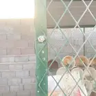 شبك حمام للبيع