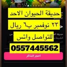 حديقة الحيوان الاحد 23 نوفمبر ب6 ريال