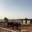 مربط الزبارة ايوا  تشبية