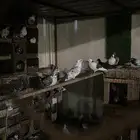 حمام بلدي للبيع