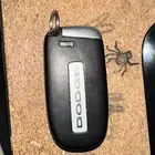 مفتاح دودج 11-14 جديد تشغيل عن بعد