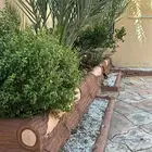 استراحه للايجار