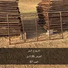 حصنية شبوك غنم معالف