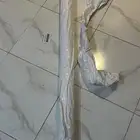 تجاليد كامري وكالة