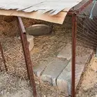شبك دجاج