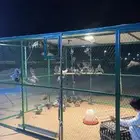 حمام وشبك