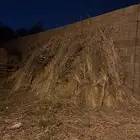 قصب ماربي