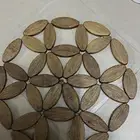 ابي سيارة صندوق تجيب عمدان من النعيرية للكويت مرابيع خشب