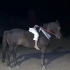 بوني للطفال هادي وطبعه طيب