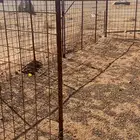 شبك حشو غنم أبل للبيع