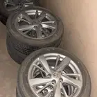 جنوط التيما نص فل