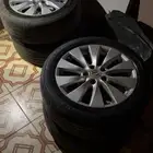 جنوط اكورد 2014